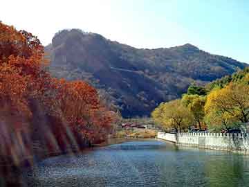 新澳天天开奖资料大全旅游团，油墨价格